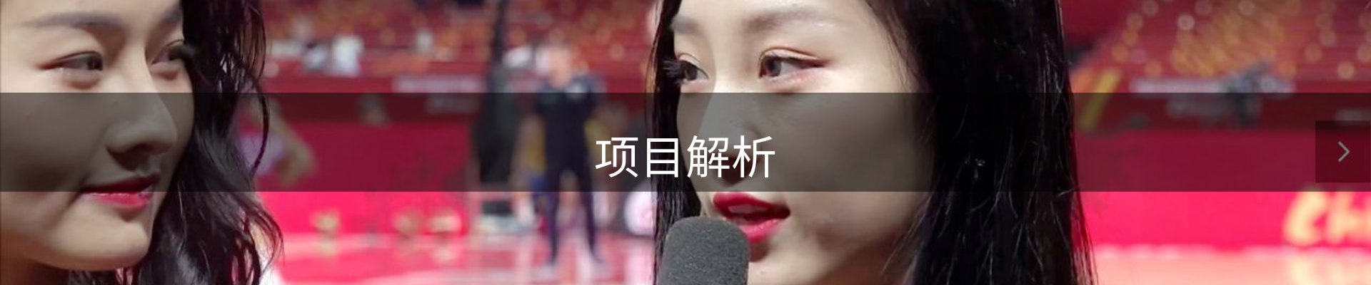 项目解析