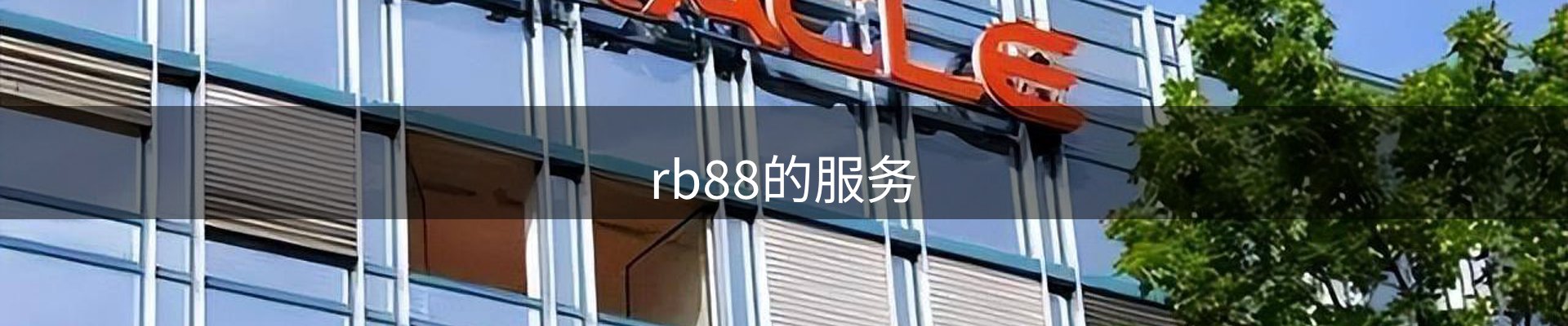 rb88的服务
